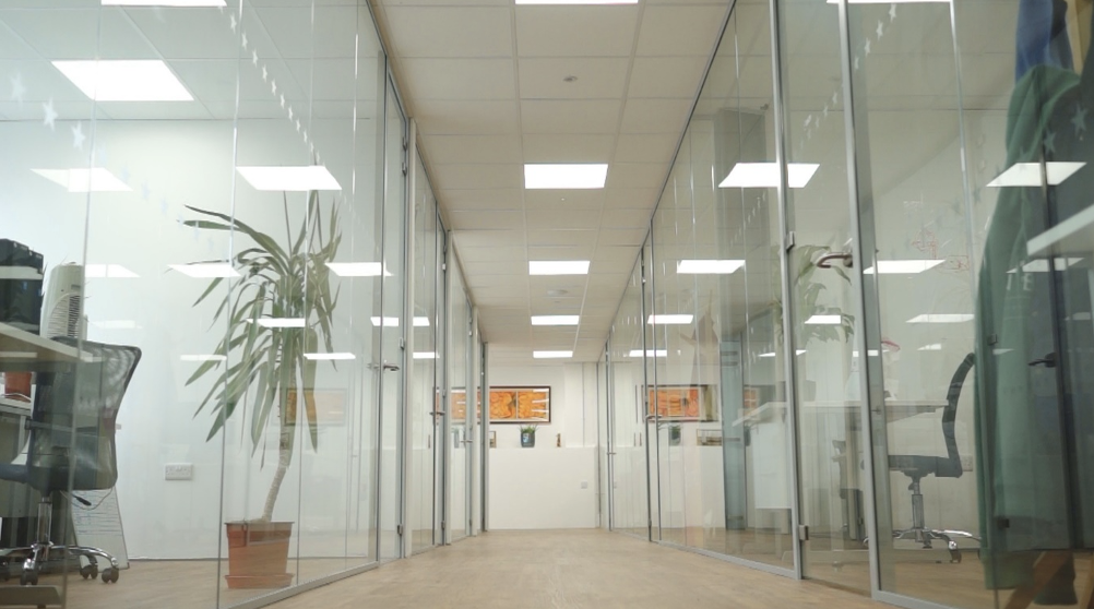 Frameless glass office partitions | Glass partitions in a modern office hallway with plants.